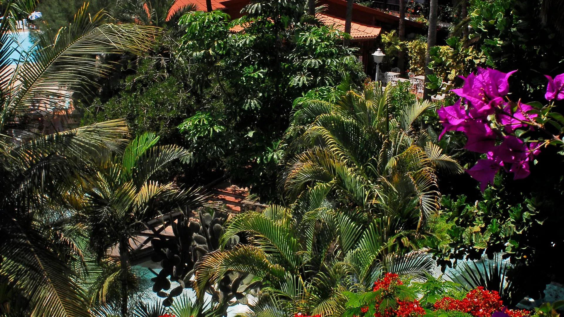 Hotel Parque Tropical Playa del Inglés
