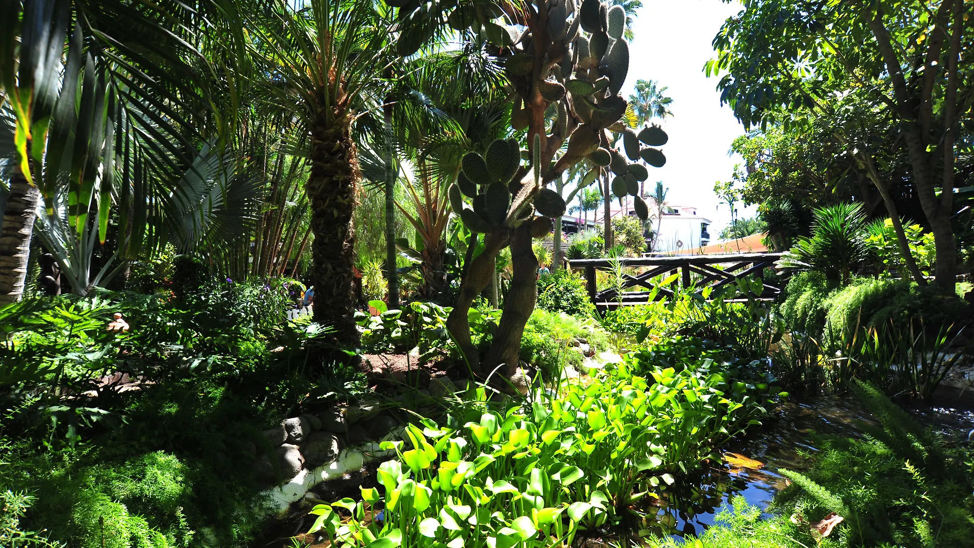 Hotel Parque Tropical Playa del Inglés